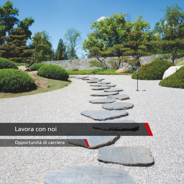 lavora con noi - square