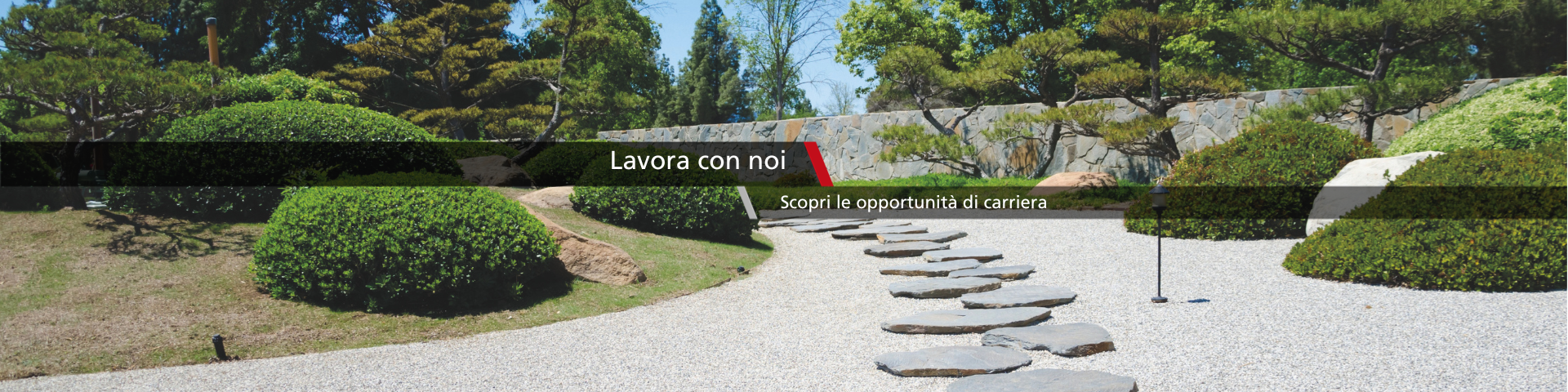 lavora con noi - main